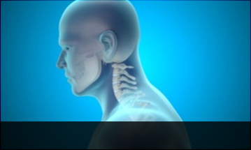 부천자생한방병원 목질환 일자목증후군-정상적인 C자형 목뼈 모습입니다.
